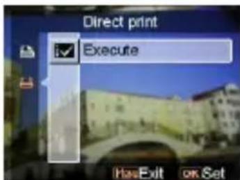 EASYPIX SDV1200 - - Direct print - 1