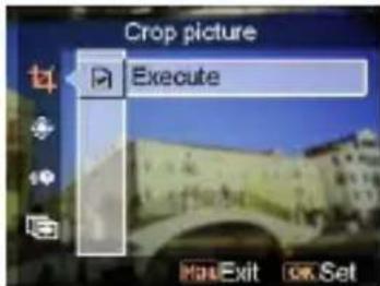 EASYPIX SDV1200 - - Crop picture - 1