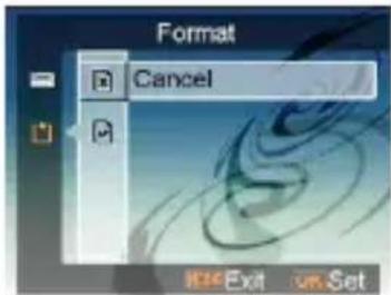 EASYPIX SDV1200 - - Format - 1
