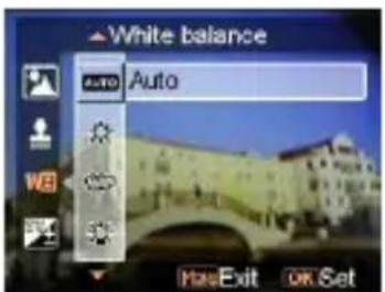 EASYPIX SDV1200 - - White balance - 1