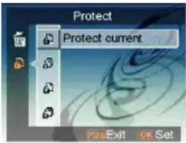 EASYPIX SDV1200 - - Protect - 1