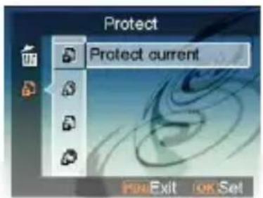EASYPIX SDV1200 - - Protect - 1