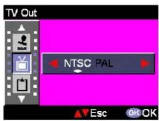 EASYPIX VX600 - TV Out - 1