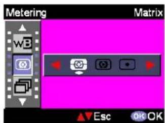EASYPIX VX600 - Metering - 1