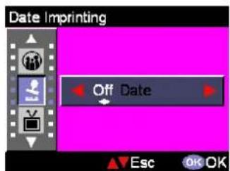 EASYPIX VX600 - Date Imprinting - 1