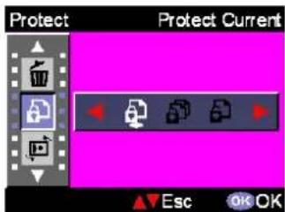 EASYPIX VX600 - Protect - 1