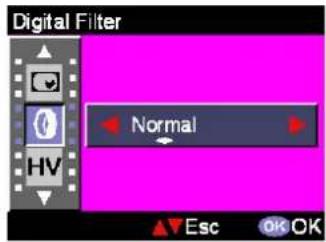 EASYPIX VX600 - Digital Filter - 1