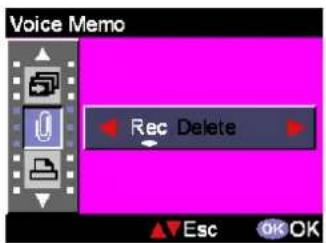 EASYPIX VX600 - Voice Memo - 1
