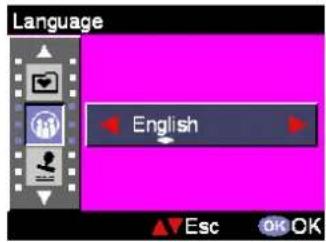 EASYPIX VX600 - Language - 1