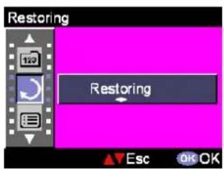 EASYPIX VX600 - Restoring - 1