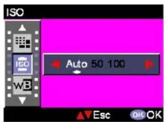 EASYPIX VX600 - ISO - 1