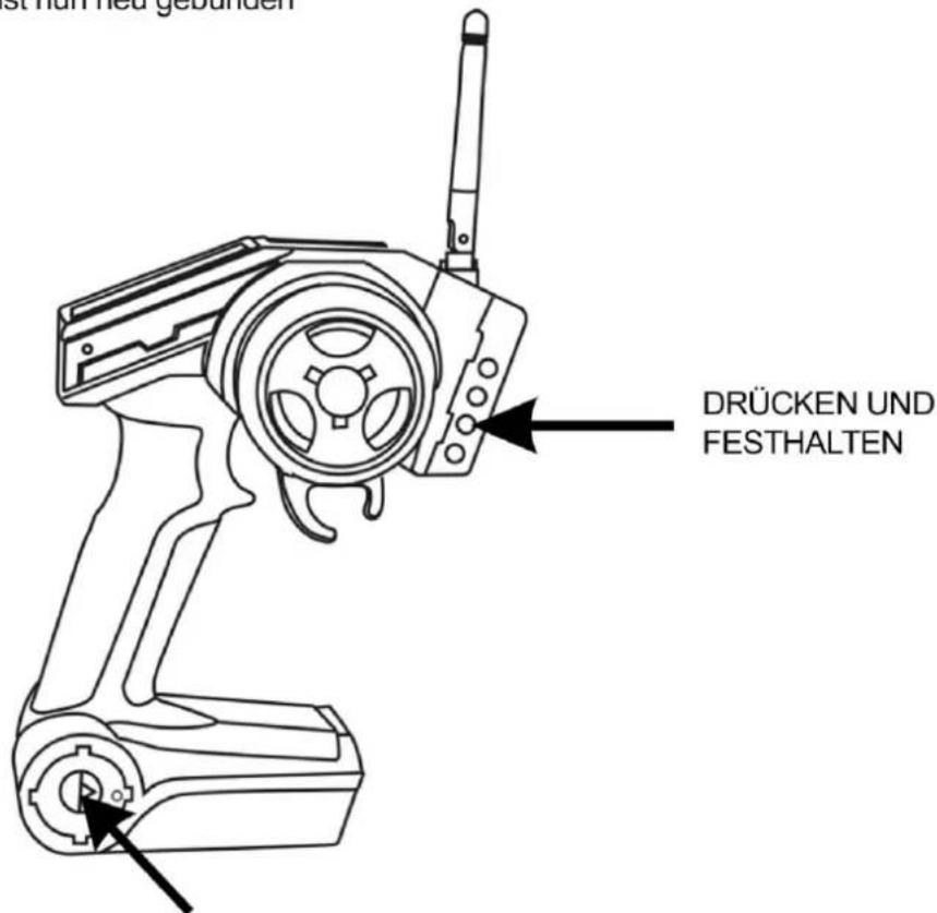DF-Models AVANTI-BL 3650 - Gehen Sie dabei wie folgt vor: - 1
