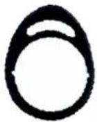 ABUS ZL-EFP - Proximity / Hitag1 / Hitag2-Transponder: - 2