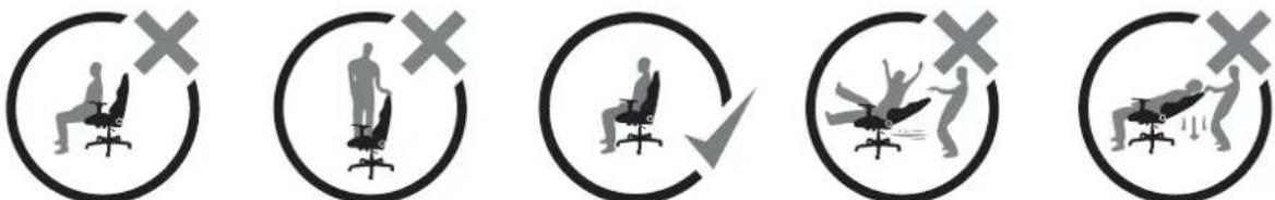 Noblechairs Concepts S300 - Usage Information / Nutzungsinformationen / Gebruiksinformatie - 13