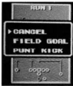 NINTENDO Tecmo Bowl (NES) - • FIELD GOALS AND PUNTS - 2