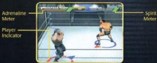NINTENDO WWE WrestleMania X8 (GameCube) - SET THE RULES - 3