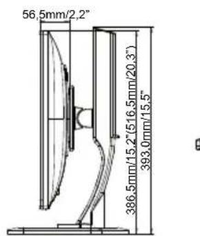 IIYAMA ProLite E2482HS-B1 - ABMESSUNGEN : ProLite B2482HS - 2