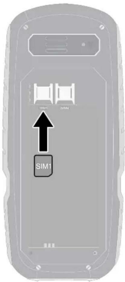 SIM1