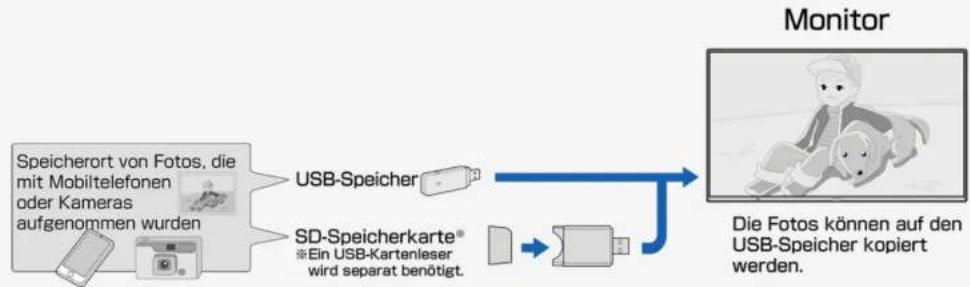 SHARP 8M-B80AX1E - USB-Medien - 1