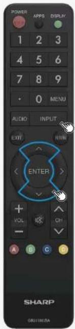 POWER 1 2 3 4 5 6 7 8 9 0 MENU AUDIO INPUT EXIT ENTER VOL CH A B C D SHARP GB31WJSA