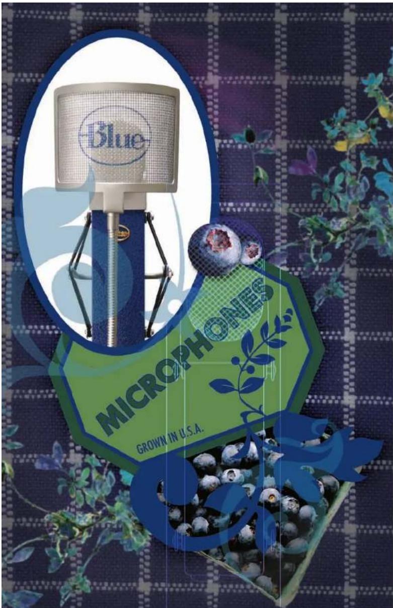 BLUE MICROPHONES Blueberry - Blueberry - 1
