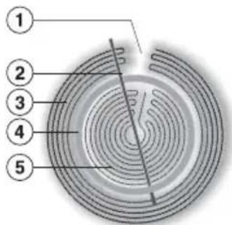 MIELE H 2267-1 E Active - Zweikreis-Kochzone - 1