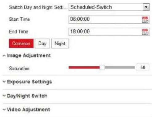 Hikvision Indoor Fisheye - Day/Night Scheduled Switch - 2