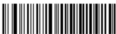 Newland BS8060-3V - Set Date Format - 1