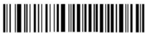 Newland BS8060-3V - Parameters of USB HID-KBW/ Bluetooth HID - 25
