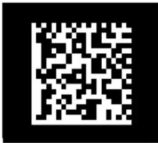 Newland BS8060-3V - Video Reverse - 2