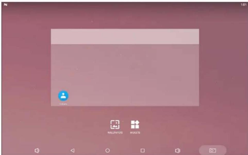 Newland NQuire 1000 Manta II - Home Screen - 1