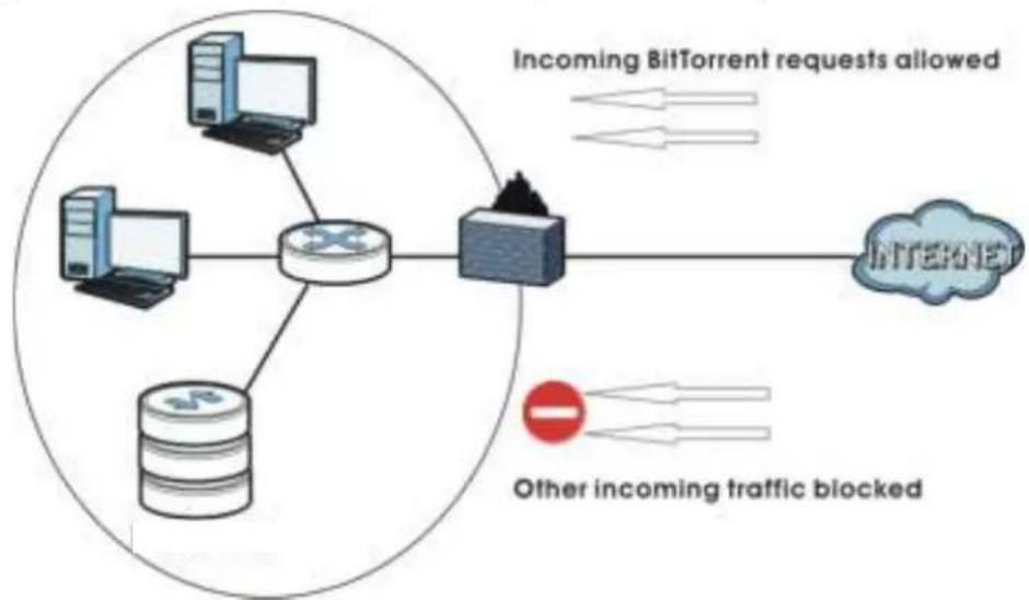 ZYXEL NAS32 - P2P Download and Your Firewall - 2