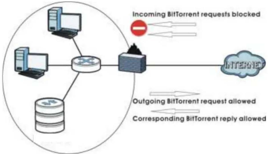 ZYXEL NAS32 - P2P Download and Your Firewall - 1