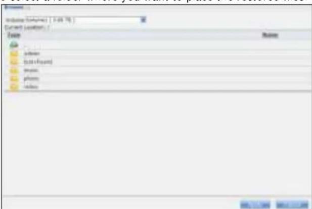 ZYXEL NAS32 - Restore Screen - 6