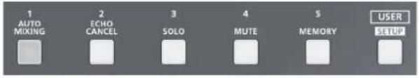 1 AUTO MIXING 2 ECHO CANCEL 3 SOLO 4 MUTE 5 MEMORY USER SETUP