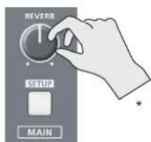 REVERB SETUP MAIN