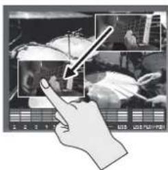 Diagram showing a hand interacting with a touchscreen display showing bird and aircraft images, with an arrow pointing to a specific image.