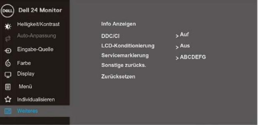 DELL SE2419HR - Autoeinstellung Wird Vorgenommen... - 30