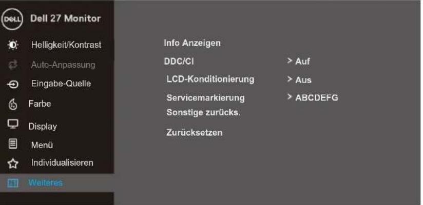 DELL SE2419HR - Autoeinstellung Wird Vorgenommen... - 32