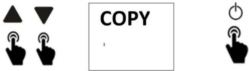 Climastar EcoStone SmartPro2000HC - COPY FUNCTION - 2