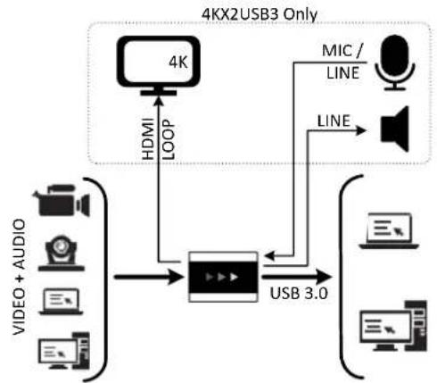 INOGENI SDI2USB3 - Thank you! - 1