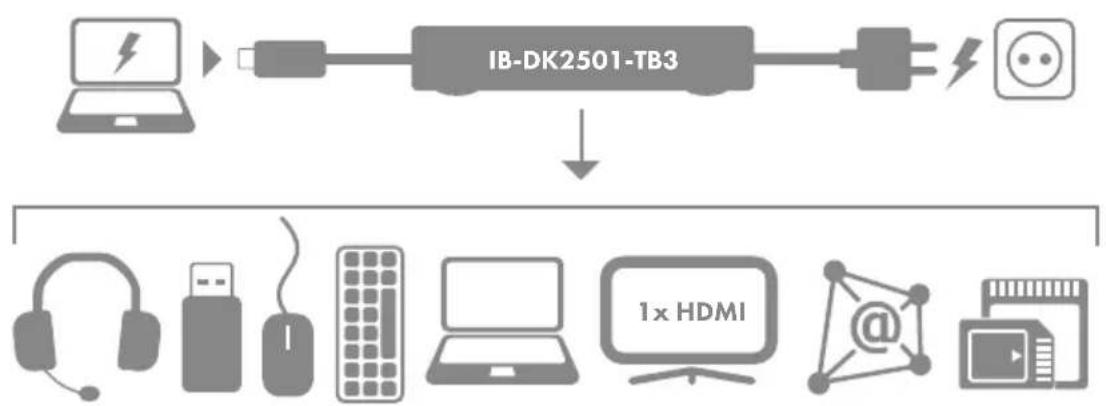 Raidsonic IB-DK2501-TB3 - Starting up / Inbetriebnahme - 3