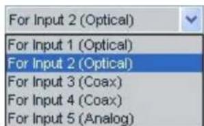 For Input 2 (Optical) For Input 1 (Optical) For Input 2 (Optical) For Input 3 (Coax) For Input 4 (Coax) For Input 5 (Analog)