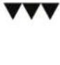 STOVES Richmond S1100 - Appliance functions - 8