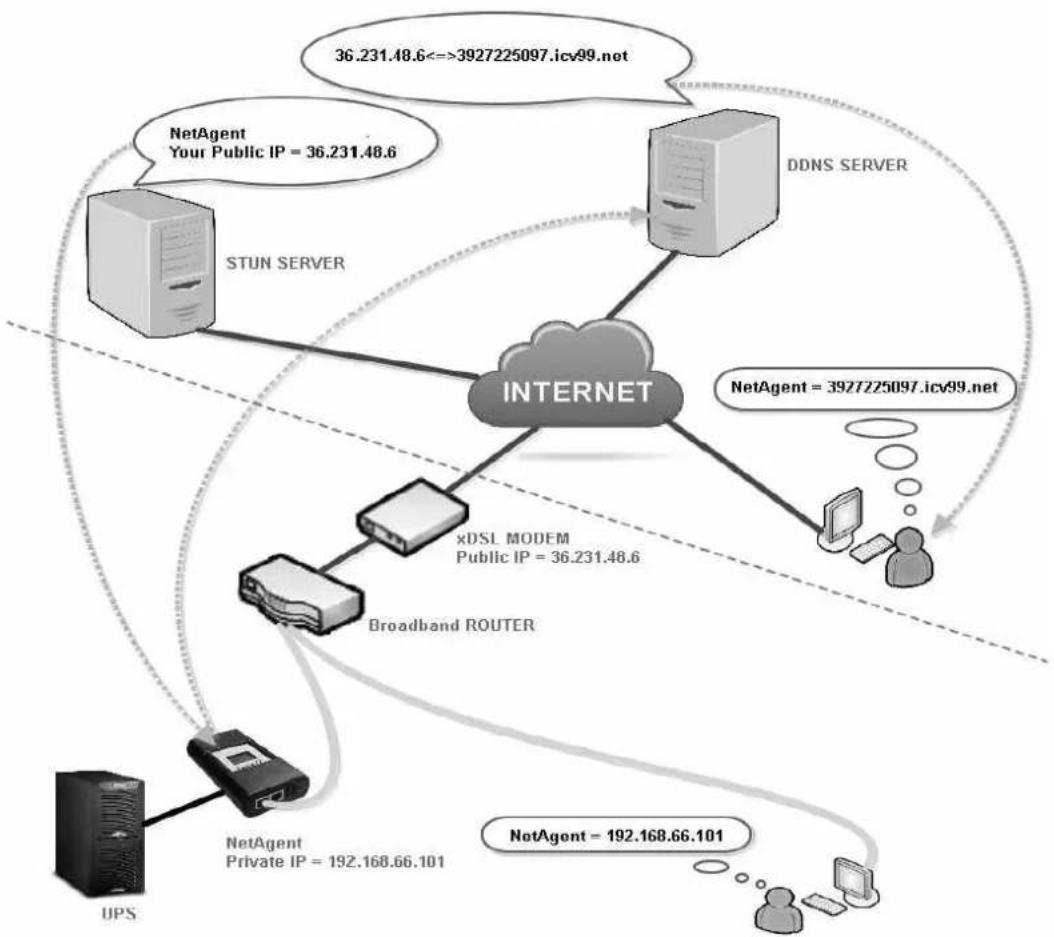 Techly IUPS-NET504 - - Dynamic DNS - 1