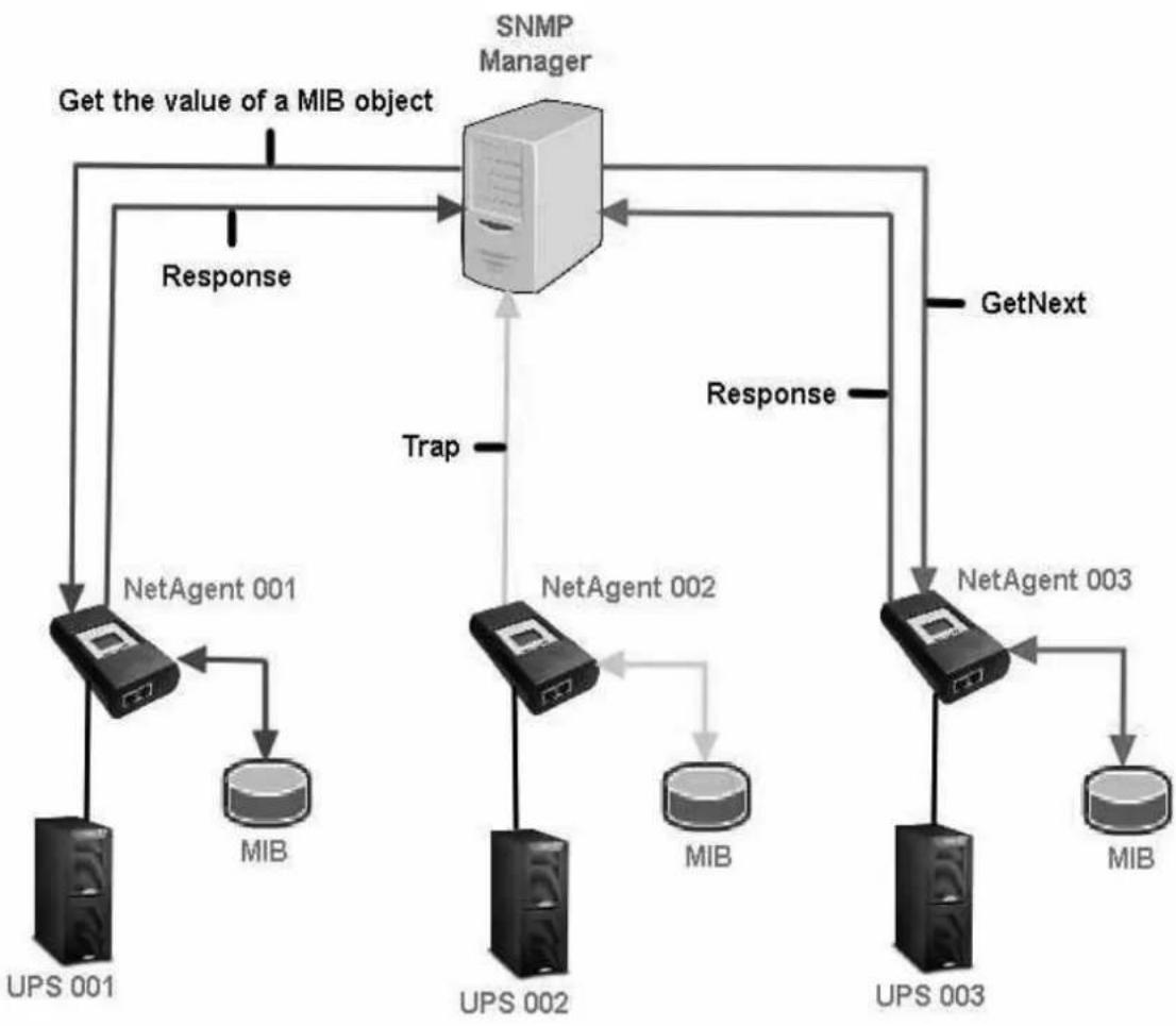 Techly IUPS-NET504 - NetAgent 9 Mini & NetAgent 9 - 3