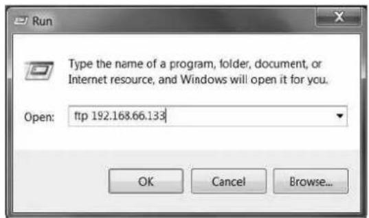 Techly IUPS-NET504 - -Execute ftp + NetAgent's IP address - 3