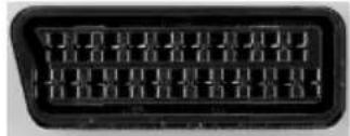 XORO XOR400495 - SCART - 1