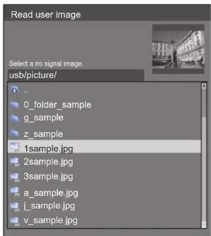 Read user image Select a no signal image. usb/picture/ ... 0_folder_sample g_sample z_sample 1sample.jpg 2sample.jpg 3sample.jpg a_sample.jpg j_sample.jpg v_sample.jpg