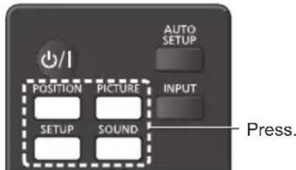 AUTO SETUP POSITION PICTURE INPUT SETUP SOUND Press.